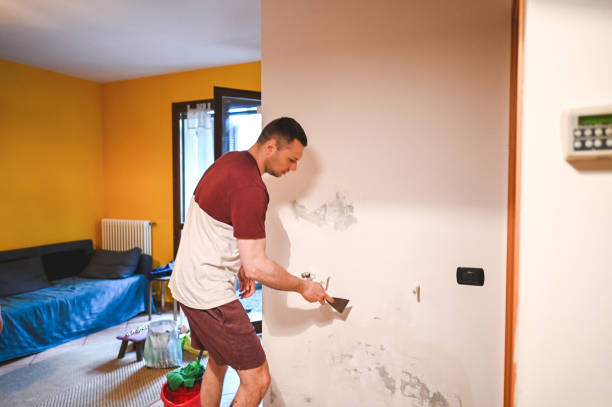 Best Mold Remediation  in Affton, MO